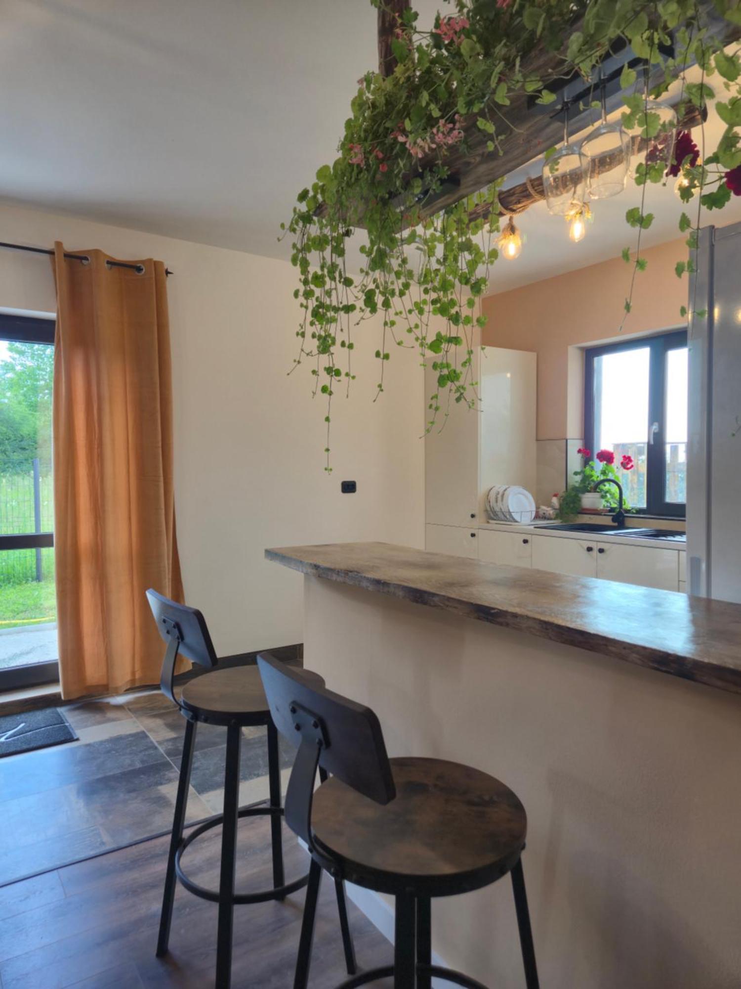 Homestay Roots Novaci-Straini